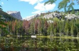 12-Day Rocky Mountain Frontiers Tour with 8 National Parks from Denver (Yellowstone, Grand Canyon, Mt. Rushmore, Big Horn Mountains)